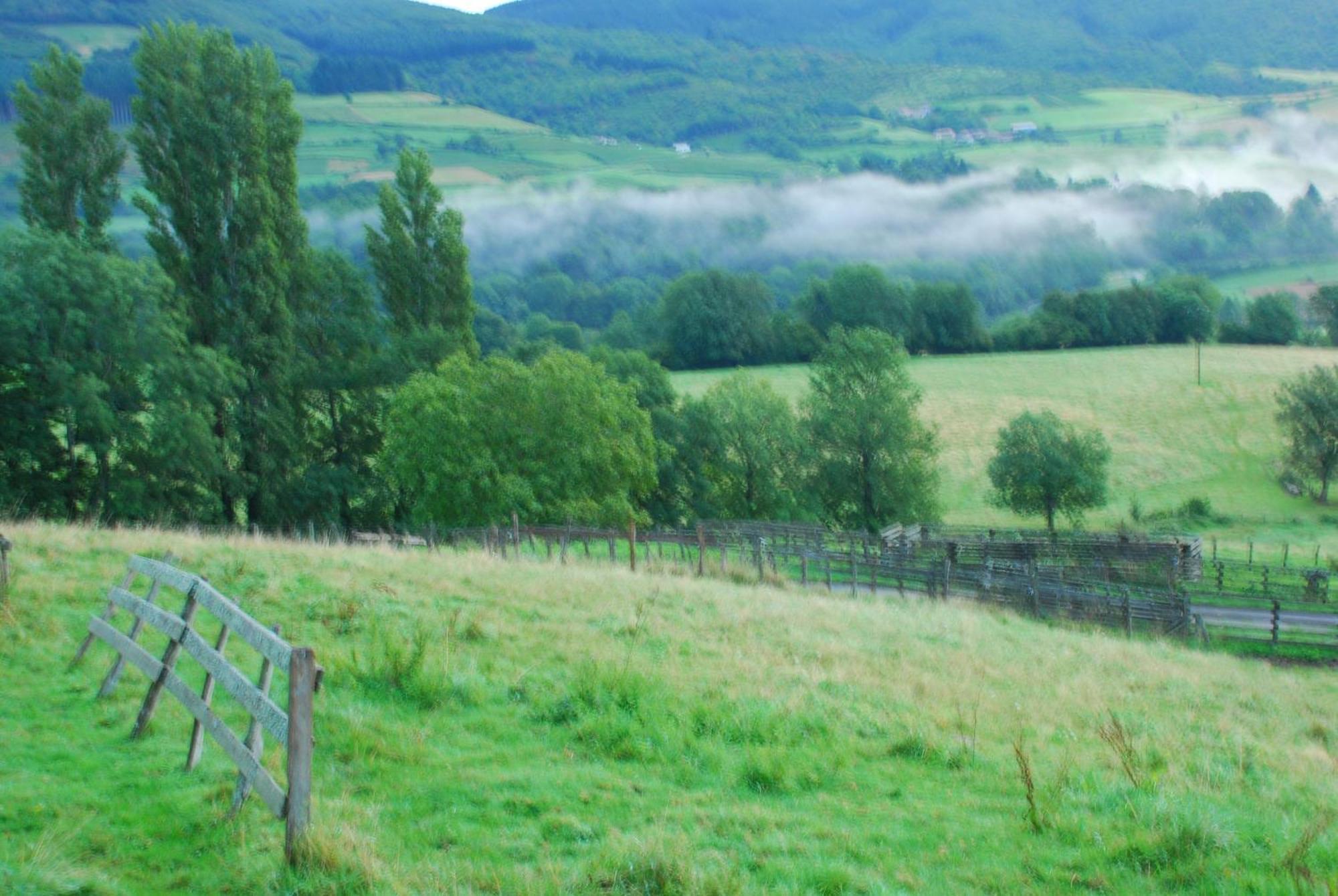 La Ferme Berger * Les Ardillats
