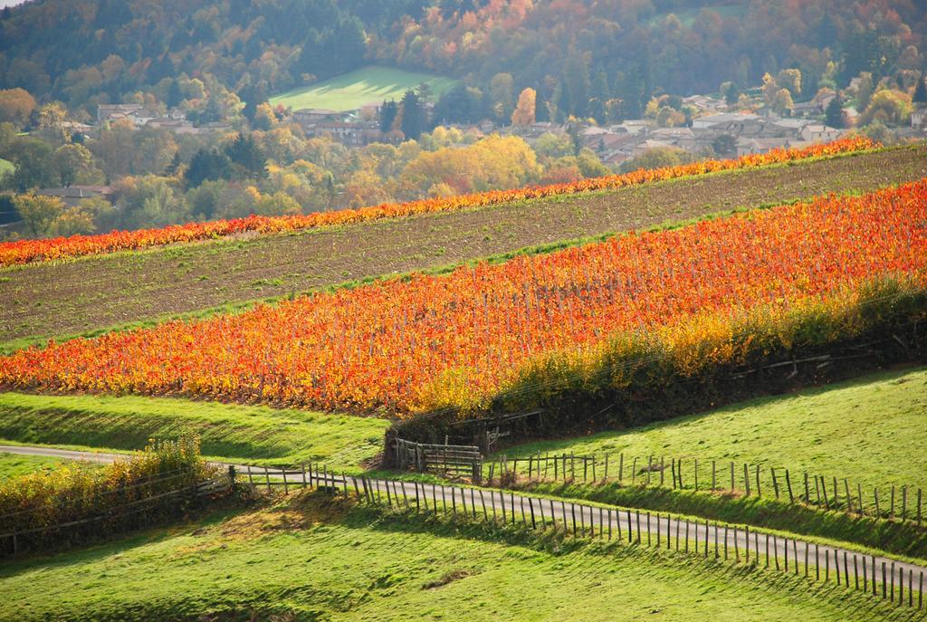La Ferme Berger