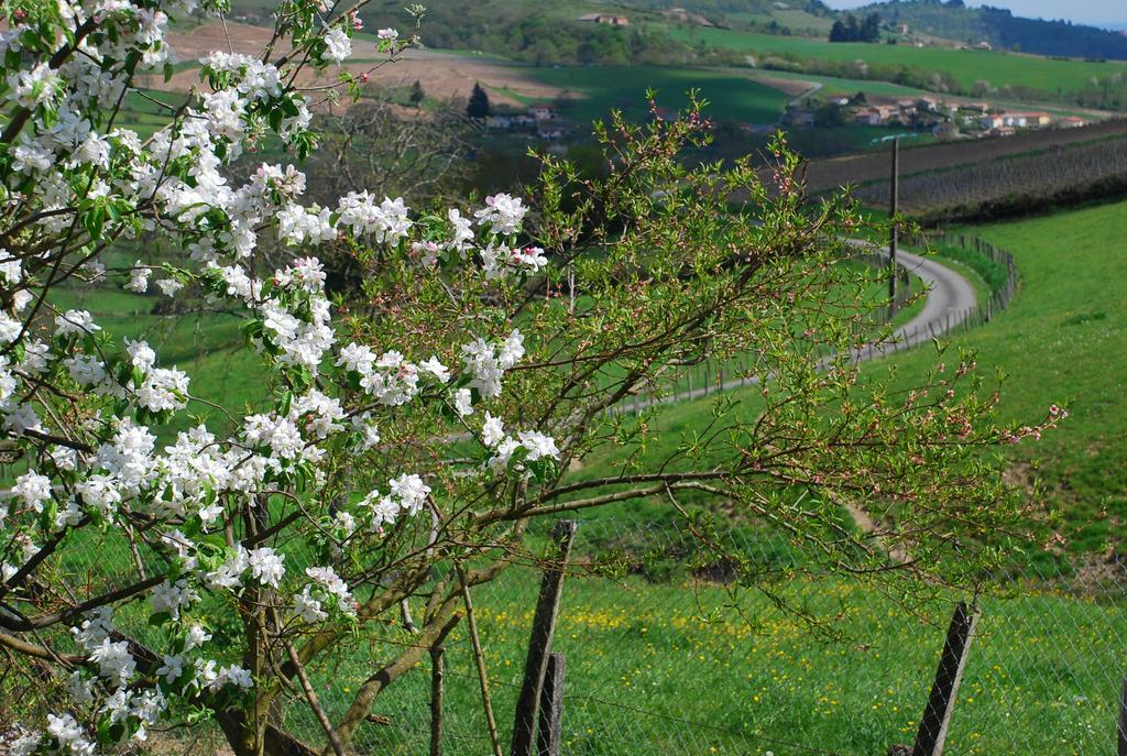 Gasthuis La Ferme Berger Les Ardillats